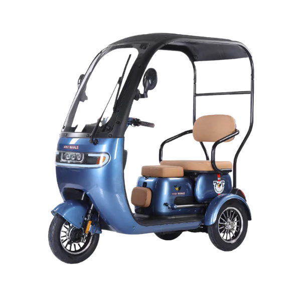 Motocicleta, Tricimoto Eléctrica Honey Whale Mod: HN-N5 . - Imagen 2